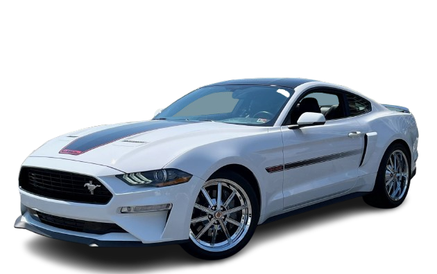 2024 Veterans Show 2016 - Present Winner
